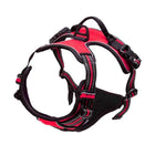 Harnais anti-traction pour chien — Réfléchissant, réglable