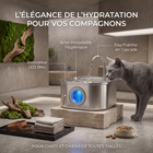 Fontaine à eau pour chat & chien — Inox 3,2 L, filtration silencieuse