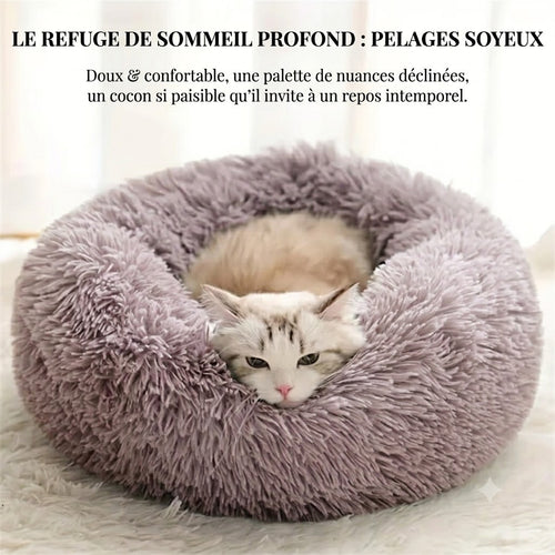 Coussin donut apaisant Éclorae — chat lové dans un lit moelleux, refuge de sommeil profond