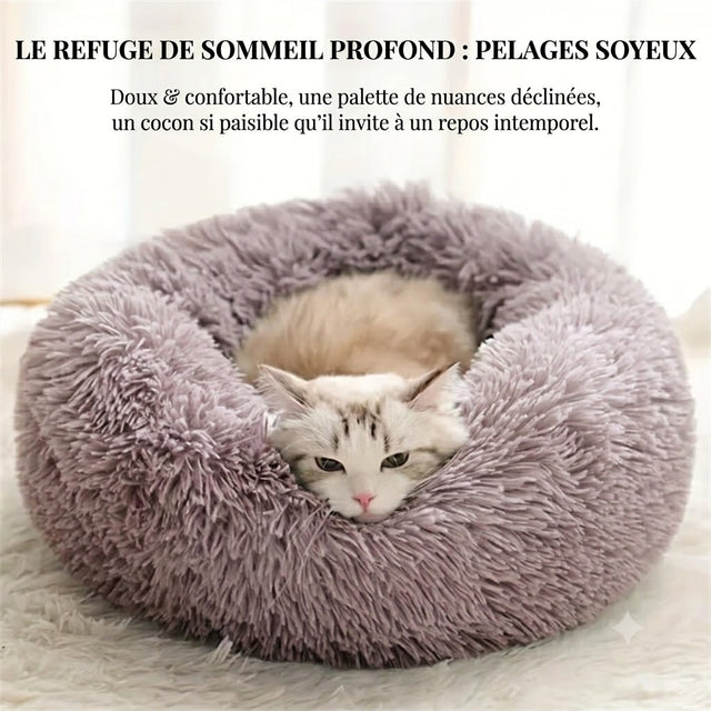 Coussin donut apaisant Éclorae — chat lové dans un lit moelleux, refuge de sommeil profond