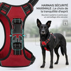 Harnais anti-traction pour chien — Réfléchissant, réglable