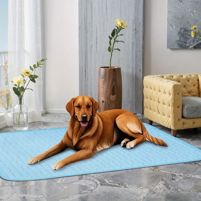 Tapis rafraîchissant bleu en situation dans un salon avec un golden retriever