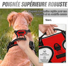 Harnais anti-traction pour chien — Réfléchissant, réglable
