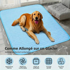 Tapis rafraîchissant — Fraîcheur d'été chat & chien