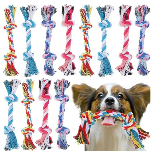 Corde dentaire à mâcher pour chien — Coton tressé, coloris aléatoire
