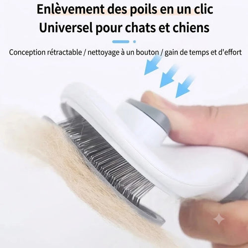 Brosse autonettoyante anti-poils Éclorae pour chat et chien — retrait des poils en un clic
